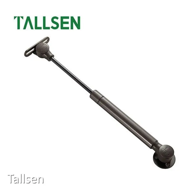 Industrial Electric Gas Struts Company 1