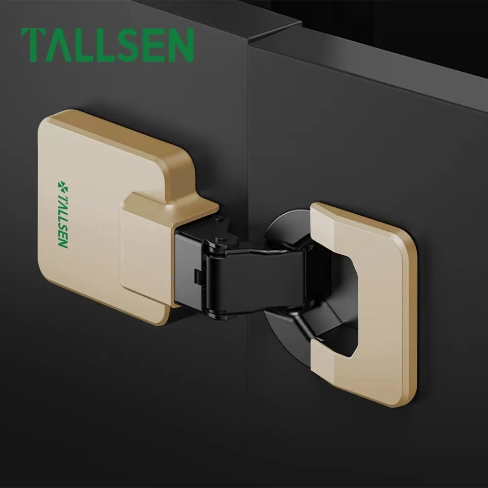 Commercial Door Hinges by Tallsen-1 9
