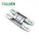 Composite Door Hinges by Tallsen 1